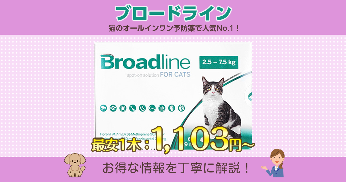 ブロードライン 猫用 最安値の通販をご解説【楽天/amazon】